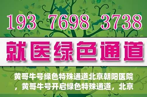 黄哥牛号绿色特殊通道北京朝阳医院，黄哥牛号开启绿色特殊通道，北京朝阳医院助力健康之路