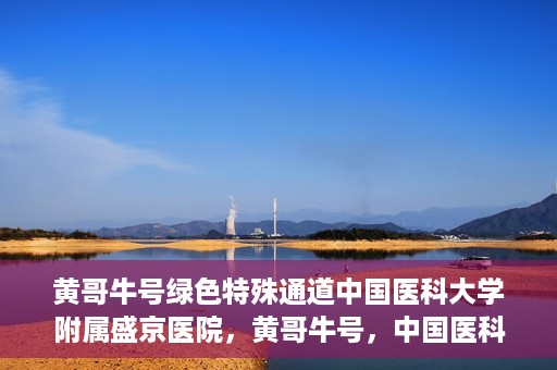 黄哥牛号绿色特殊通道中国医科大学附属盛京医院，黄哥牛号，中国医科大学附属盛京医院开启绿色特殊通道助力医疗进步