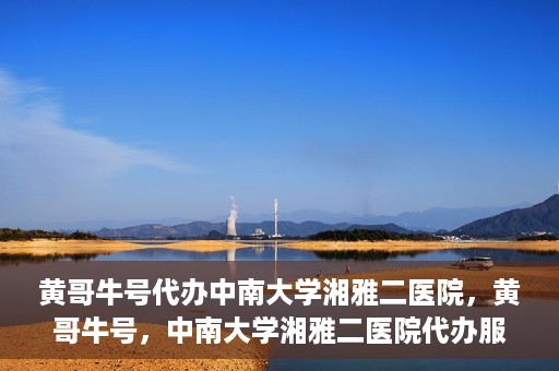 黄哥牛号代办中南大学湘雅二医院，黄哥牛号，中南大学湘雅二医院代办服务详解