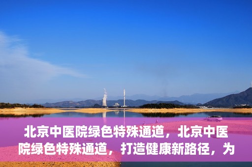 北京中医院绿色特殊通道，北京中医院绿色特殊通道，打造健康新路径，为患者解忧解困