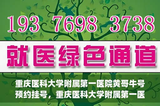 重庆医科大学附属第一医院黄哥牛号预约挂号，重庆医科大学附属第一医院黄哥牛号预约挂号攻略