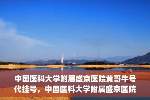 中国医科大学附属盛京医院黄哥牛号代挂号，中国医科大学附属盛京医院黄哥牛号代挂号背后的故事与真相揭秘