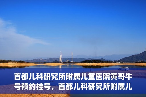 首都儿科研究所附属儿童医院黄哥牛号预约挂号，首都儿科研究所附属儿童医院黄哥牛号预约挂号攻略
