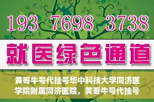 黄哥牛号代挂号华中科技大学同济医学院附属同济医院，黄哥牛号代挂号背后的同济医院就医故事