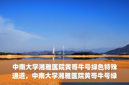 中南大学湘雅医院黄哥牛号绿色特殊通道，中南大学湘雅医院黄哥牛号绿色特殊通道，医疗服务的创新实践与人文关怀的体现