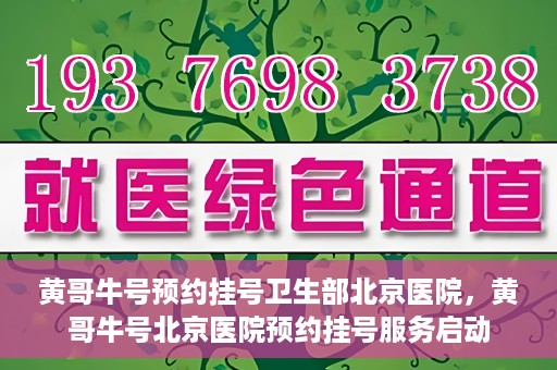黄哥牛号预约挂号卫生部北京医院，黄哥牛号北京医院预约挂号服务启动