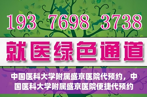 中国医科大学附属盛京医院代预约，中国医科大学附属盛京医院便捷代预约服务解析