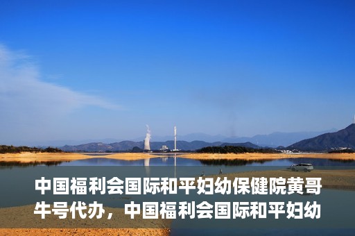 中国福利会国际和平妇幼保健院黄哥牛号代办，中国福利会国际和平妇幼保健院黄哥牛号业务代办全解析