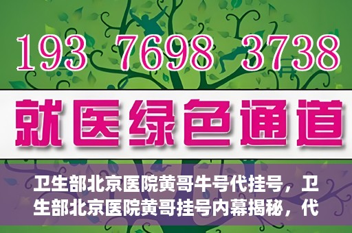 卫生部北京医院黄哥牛号代挂号，卫生部北京医院黄哥挂号内幕揭秘，代挂号背后的故事
