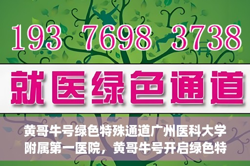 黄哥牛号绿色特殊通道广州医科大学附属第一医院，黄哥牛号开启绿色特殊通道，广州医科大学附属第一医院创新医疗体验
