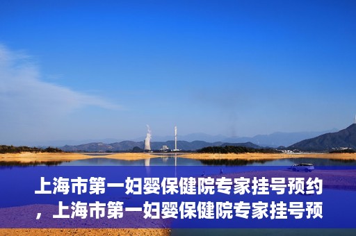 上海市第一妇婴保健院专家挂号预约，上海市第一妇婴保健院专家挂号预约攻略与指南