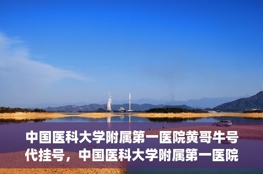 中国医科大学附属第一医院黄哥牛号代挂号，中国医科大学附属第一医院黄哥牛号代挂号服务详解