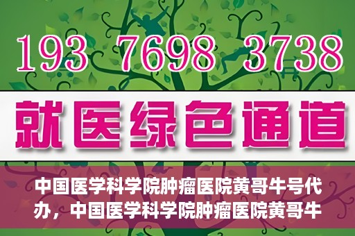 中国医学科学院肿瘤医院黄哥牛号代办，中国医学科学院肿瘤医院黄哥牛号挂号代办服务解析