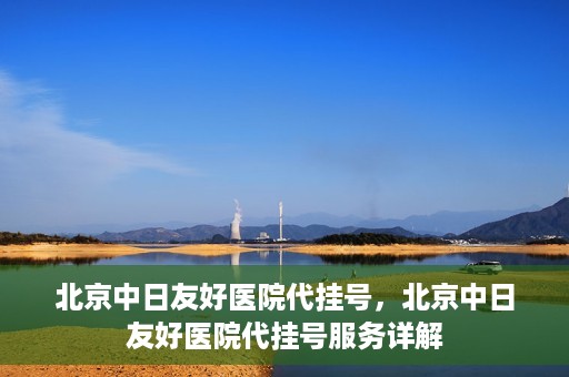 北京中日友好医院代挂号，北京中日友好医院代挂号服务详解