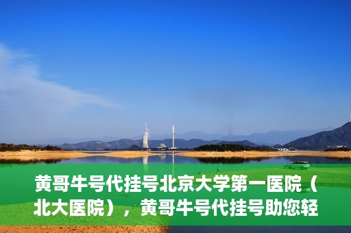 黄哥牛号代挂号北京大学第一医院（北大医院），黄哥牛号代挂号助您轻松预约北京大学第一医院（北大医院）专家号