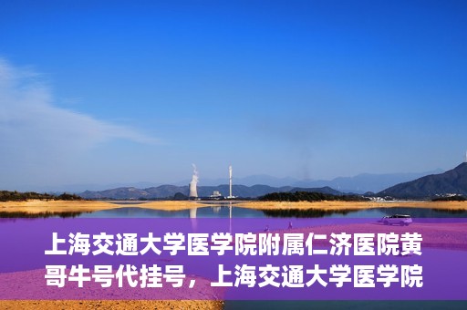 上海交通大学医学院附属仁济医院黄哥牛号代挂号，上海交通大学医学院附属仁济医院黄哥牛号挂号攻略揭秘