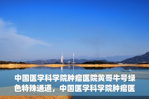 中国医学科学院肿瘤医院黄哥牛号绿色特殊通道，中国医学科学院肿瘤医院黄哥牛号，绿色特殊通道开启健康之门