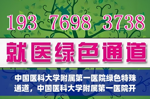 中国医科大学附属第一医院绿色特殊通道，中国医科大学附属第一医院开通绿色特殊通道，助力患者就医体验升级
