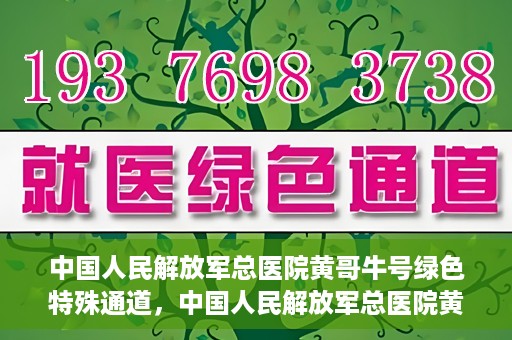 中国人民解放军总医院黄哥牛号绿色特殊通道，中国人民解放军总医院黄哥牛号，绿色特殊通道开启健康之门