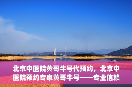 北京中医院黄哥牛号代预约，北京中医院预约专家黄哥牛号——专业信赖的医疗服务