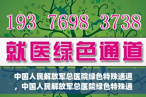 中国人民解放军总医院绿色特殊通道，中国人民解放军总医院绿色特殊通道，医疗服务的紧急通道与人文关怀的完美结合
