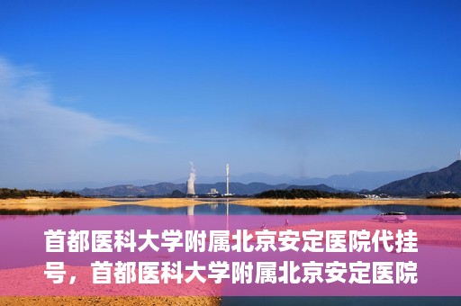 首都医科大学附属北京安定医院代挂号，首都医科大学附属北京安定医院代挂号服务详解