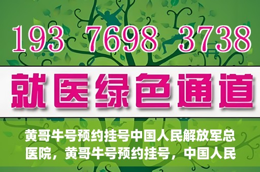 黄哥牛号预约挂号中国人民解放军总医院，黄哥牛号预约挂号，中国人民解放军总医院就医新体验