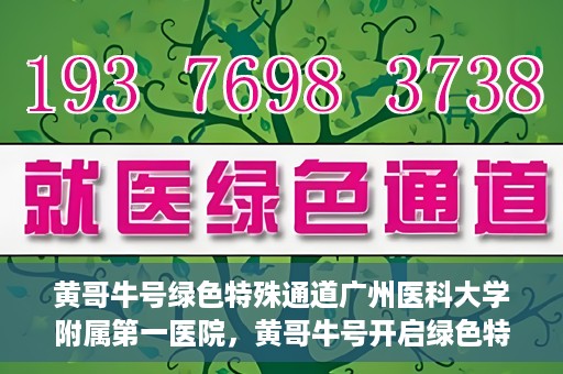 黄哥牛号绿色特殊通道广州医科大学附属第一医院，黄哥牛号开启绿色特殊通道，广州医科大学附属第一医院创新医疗体验