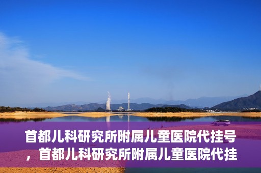 首都儿科研究所附属儿童医院代挂号，首都儿科研究所附属儿童医院代挂号服务详解