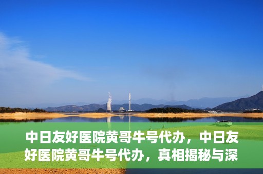 中日友好医院黄哥牛号代办，中日友好医院黄哥牛号代办，真相揭秘与深度解析