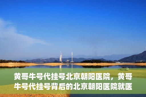 黄哥牛号代挂号北京朝阳医院，黄哥牛号代挂号背后的北京朝阳医院就医现象观察