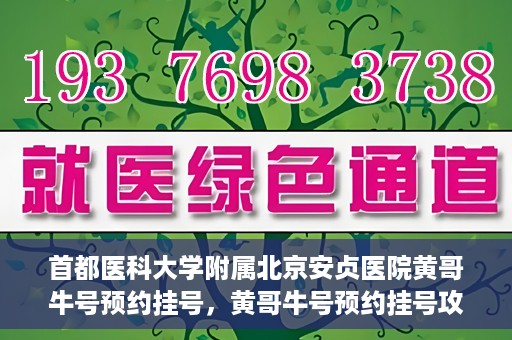 首都医科大学附属北京安贞医院黄哥牛号预约挂号，黄哥牛号预约挂号攻略，首都医科大学附属北京安贞医院就医指南
