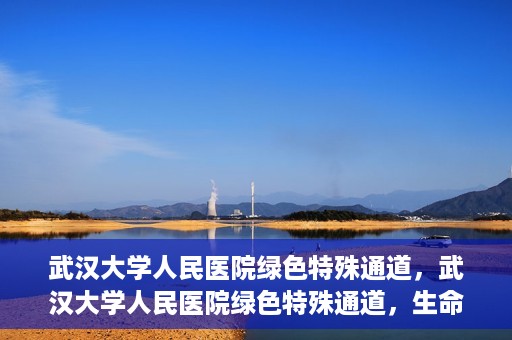 武汉大学人民医院绿色特殊通道，武汉大学人民医院绿色特殊通道，生命救援的紧急通道