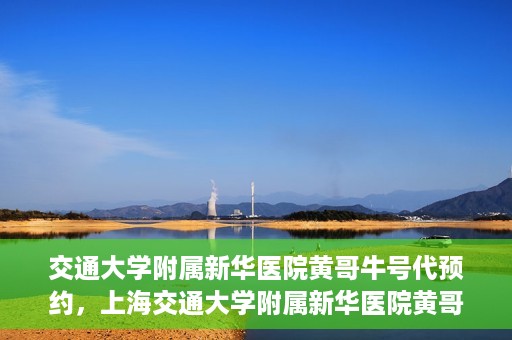 交通大学附属新华医院黄哥牛号代预约，上海交通大学附属新华医院黄哥牛号预约服务解析