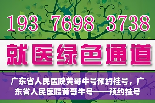 广东省人民医院黄哥牛号预约挂号，广东省人民医院黄哥牛号——预约挂号攻略