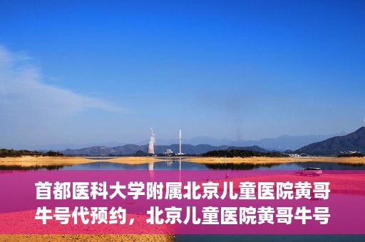 首都医科大学附属北京儿童医院黄哥牛号代预约，北京儿童医院黄哥牛号预约服务，专业便捷的健康守护使者