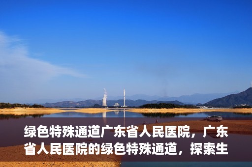 绿色特殊通道广东省人民医院，广东省人民医院的绿色特殊通道，探索生命的新路径