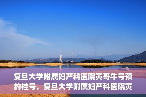 复旦大学附属妇产科医院黄哥牛号预约挂号，复旦大学附属妇产科医院黄哥牛挂号预约攻略解析