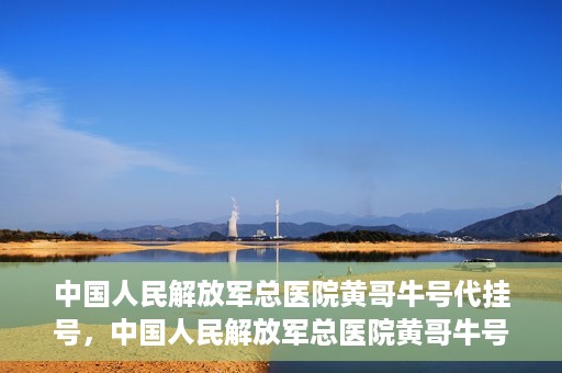 中国人民解放军总医院黄哥牛号代挂号，中国人民解放军总医院黄哥牛号代挂号解析，揭秘挂号背后的故事