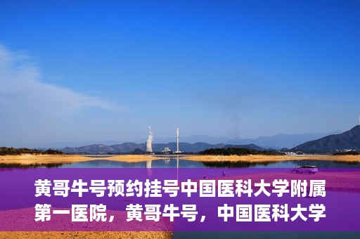 黄哥牛号预约挂号中国医科大学附属第一医院，黄哥牛号，中国医科大学附属第一医院预约挂号服务启动