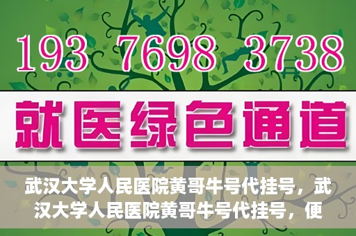 武汉大学人民医院黄哥牛号代挂号，武汉大学人民医院黄哥牛号代挂号，便捷就医背后的故事