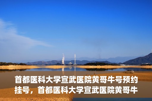 首都医科大学宣武医院黄哥牛号预约挂号，首都医科大学宣武医院黄哥牛号，预约挂号攻略