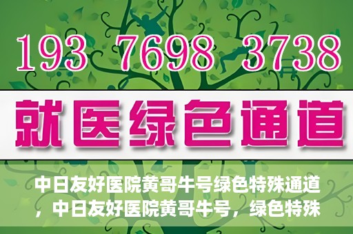 中日友好医院黄哥牛号绿色特殊通道，中日友好医院黄哥牛号，绿色特殊通道开启健康之门