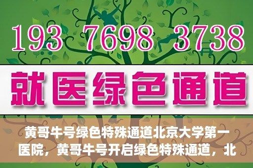 黄哥牛号绿色特殊通道北京大学第一医院，黄哥牛号开启绿色特殊通道，北京大学第一医院全力护航健康之路