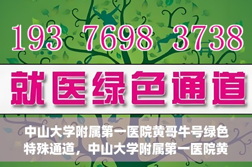 中山大学附属第一医院黄哥牛号绿色特殊通道，中山大学附属第一医院黄哥牛号，绿色特殊通道开启健康之门