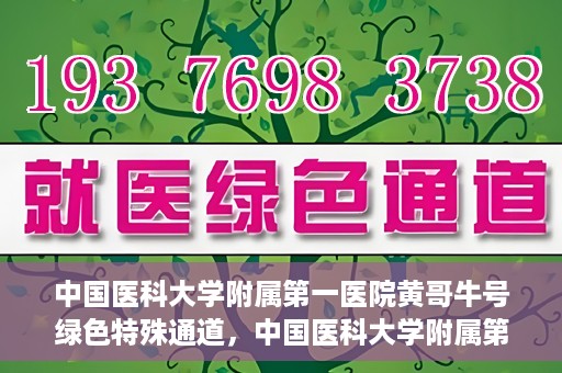 中国医科大学附属第一医院黄哥牛号绿色特殊通道，中国医科大学附属第一医院黄哥牛号，绿色特殊通道的开启与探索