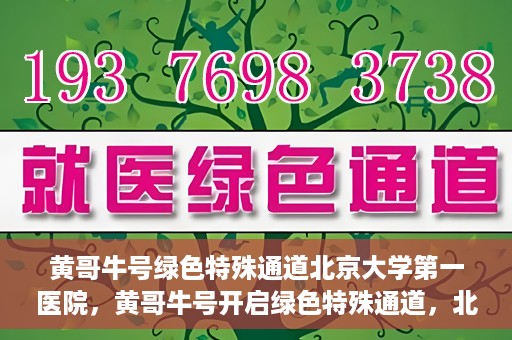 黄哥牛号绿色特殊通道北京大学第一医院，黄哥牛号开启绿色特殊通道，北京大学第一医院全力护航健康之路