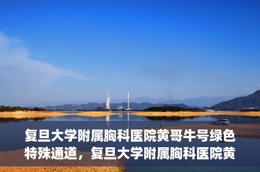 复旦大学附属胸科医院黄哥牛号绿色特殊通道，复旦大学附属胸科医院黄哥牛号，绿色特殊通道开启健康之门