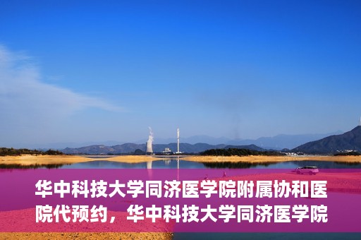 华中科技大学同济医学院附属协和医院代预约，华中科技大学同济医学院附属协和医院便捷代预约服务解析