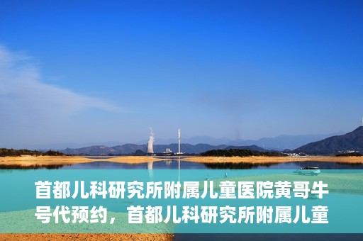 首都儿科研究所附属儿童医院黄哥牛号代预约，首都儿科研究所附属儿童医院黄哥预约服务详解